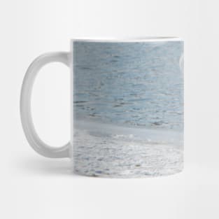 Pelican Mug